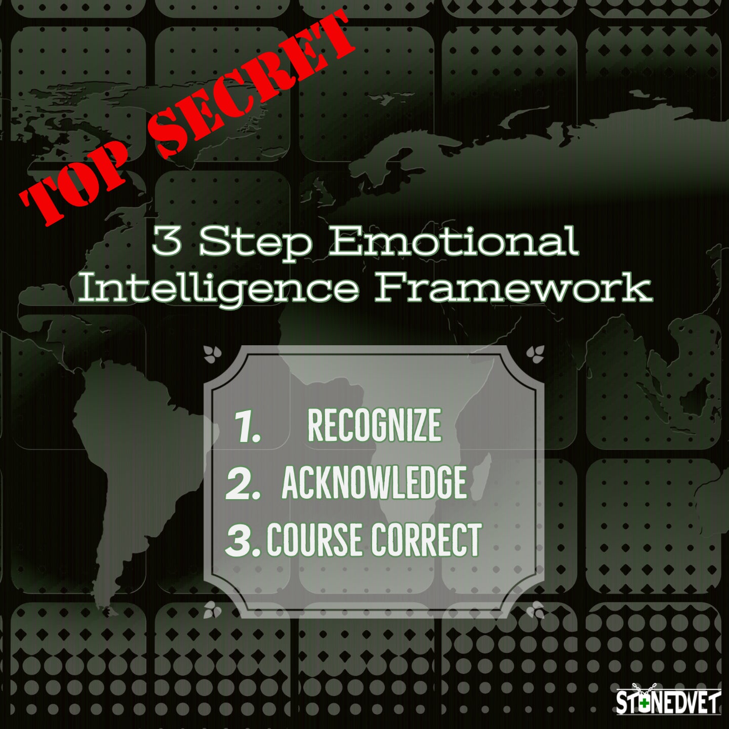 Stonedvet 3 Step Emotional Intelligence Framework