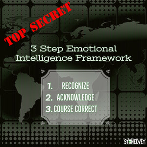 Stonedvet 3 Step Emotional Intelligence Framework